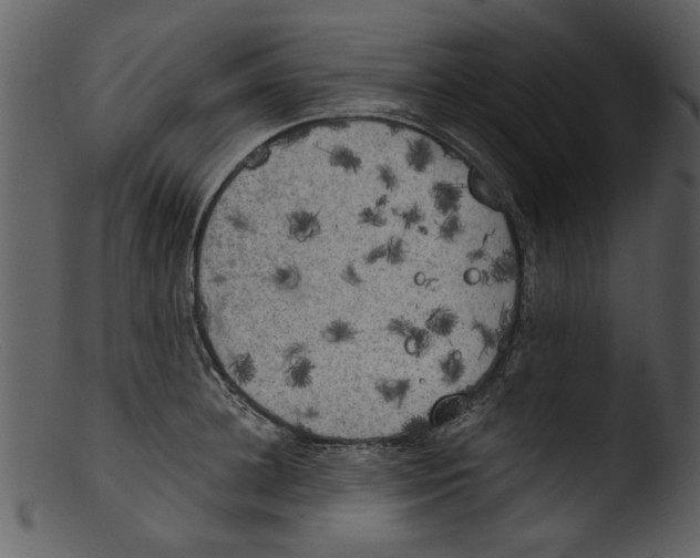 X0000103310948200809261333