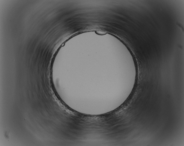 X0000103310949200809261333