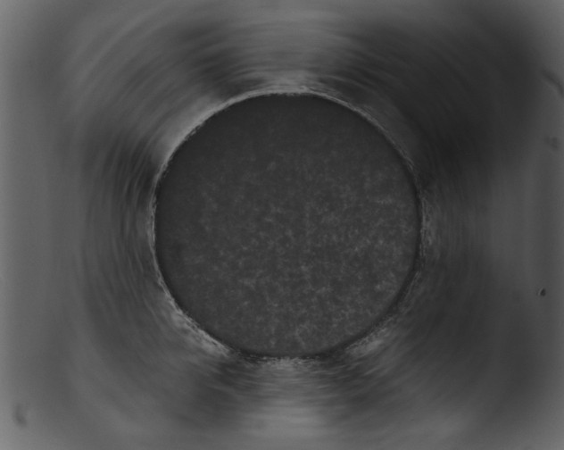 X0000103310950200809261333