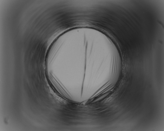 X0000103310951200809261333