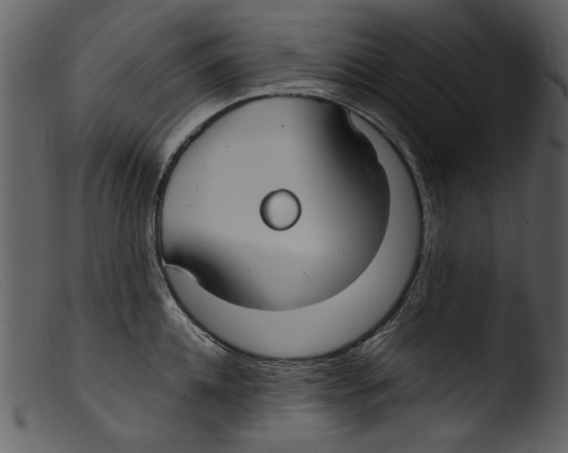 X0000103310952200809261333