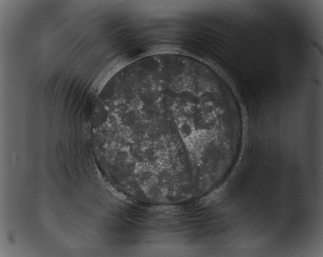 X0000103310953200809261333