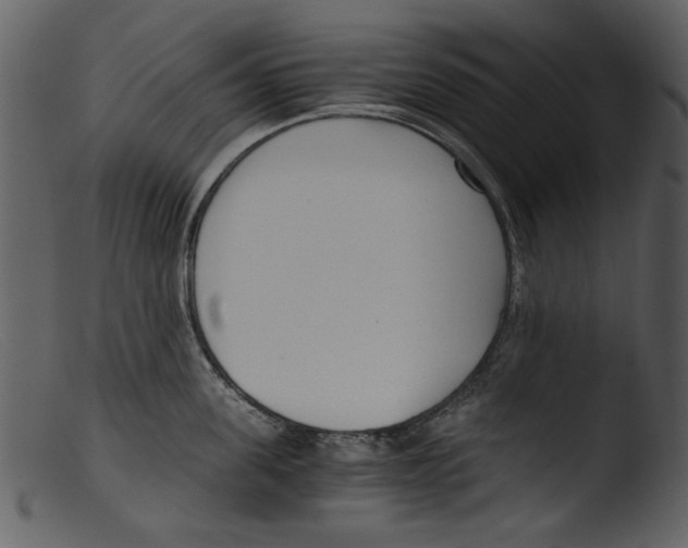 X0000103310955200809261333