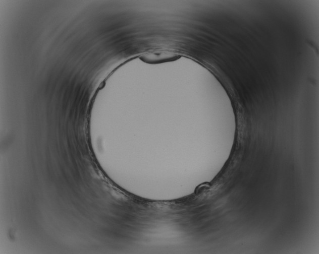 X0000103310956200809261334