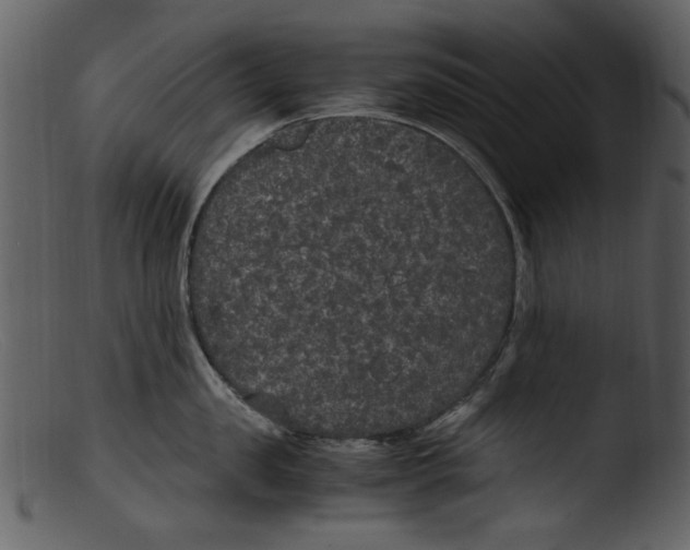 X0000103310957200809261334