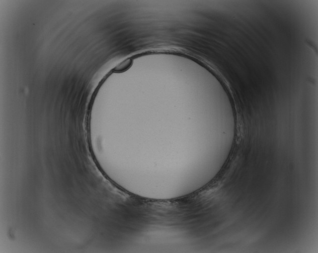 X0000103310959200809261334