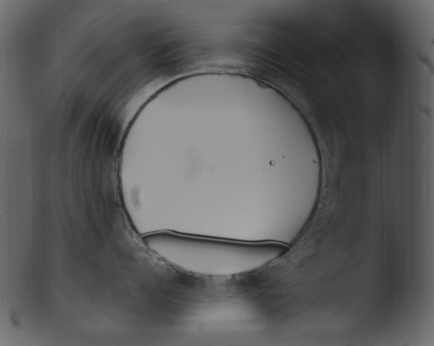 X0000103310960200809261334