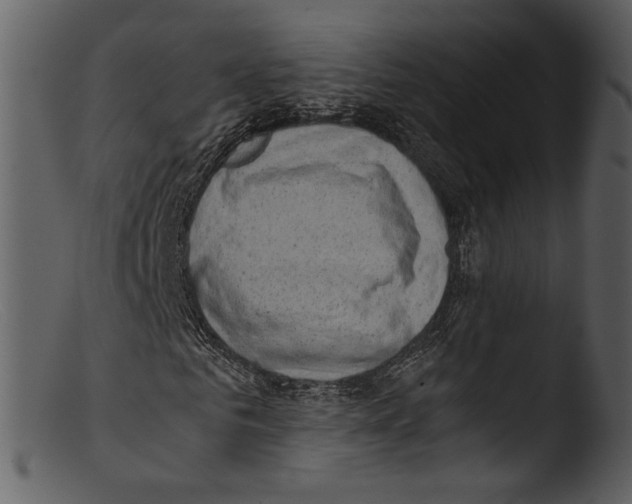 X0000103310961200809261333