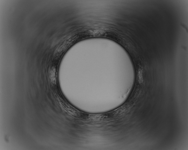 X0000103310963200809261333