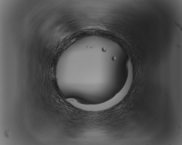 X0000103310965200809261333