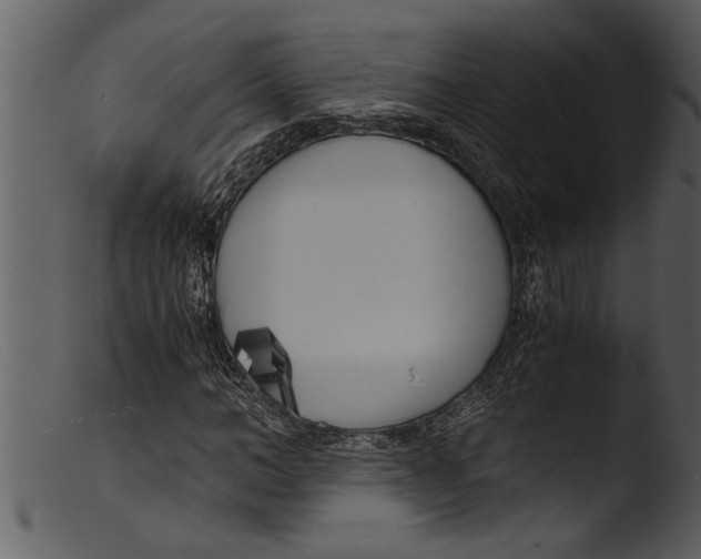 X0000103310966200809261333