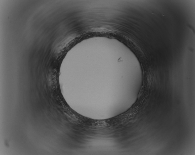 X0000103310968200809261333