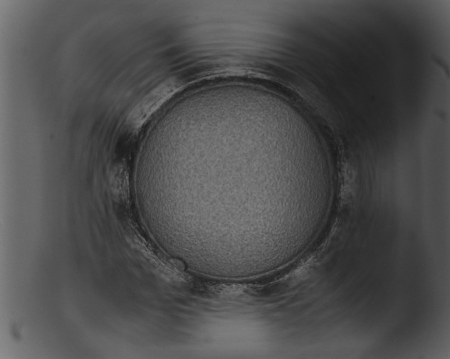 X0000103310969200809261333