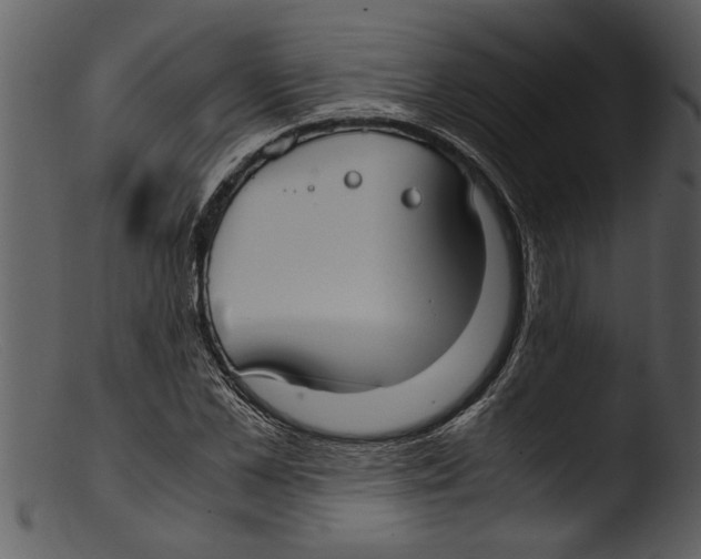 X0000103310973200809261333