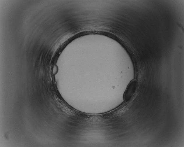 X0000103310974200809261333