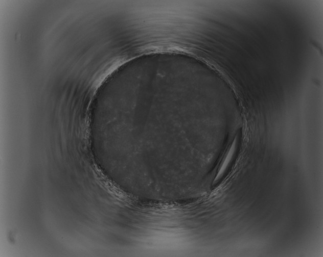 X0000103310975200809261333