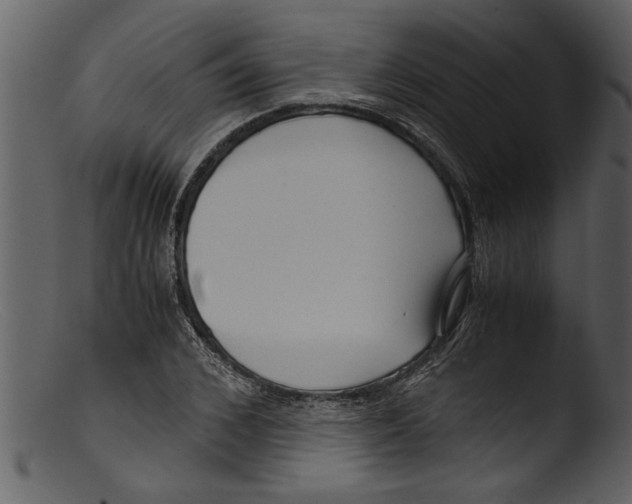 X0000103310976200809261333