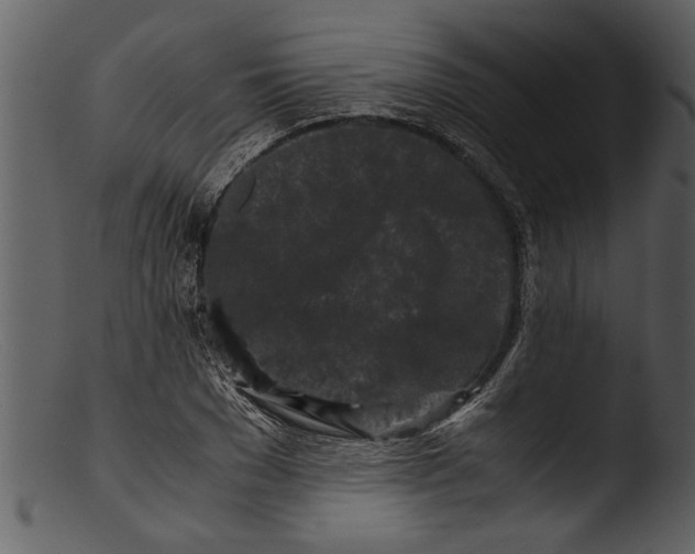 X0000103310977200809261333