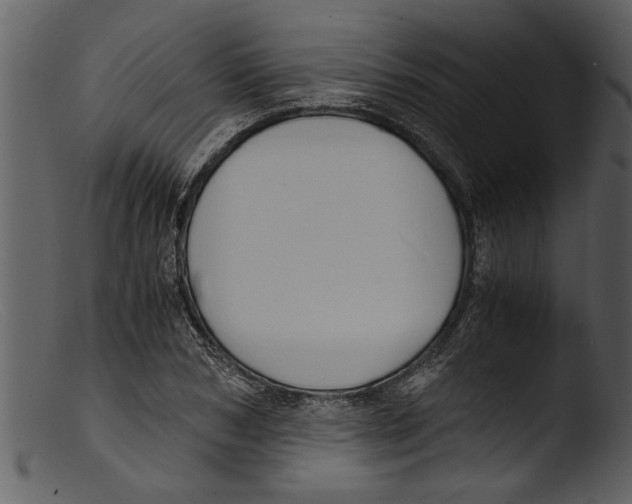 X0000103310978200809261332