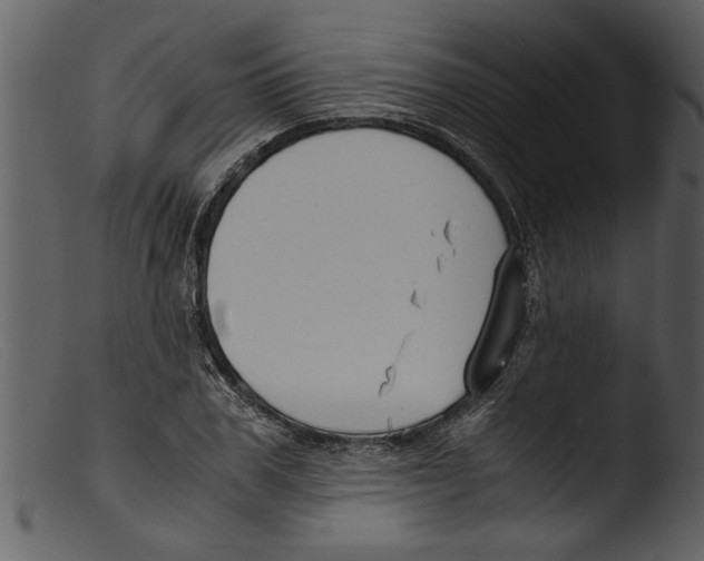 X0000103310979200809261332