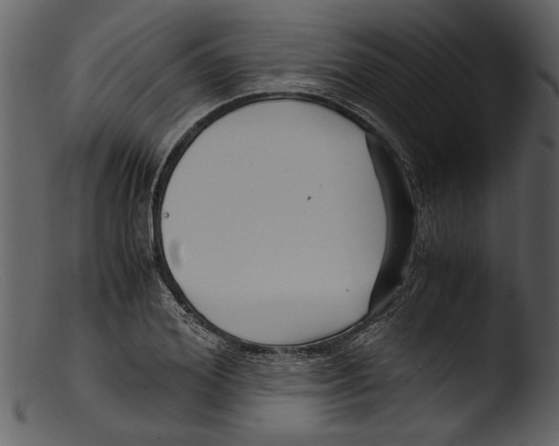 X0000103310980200809261332