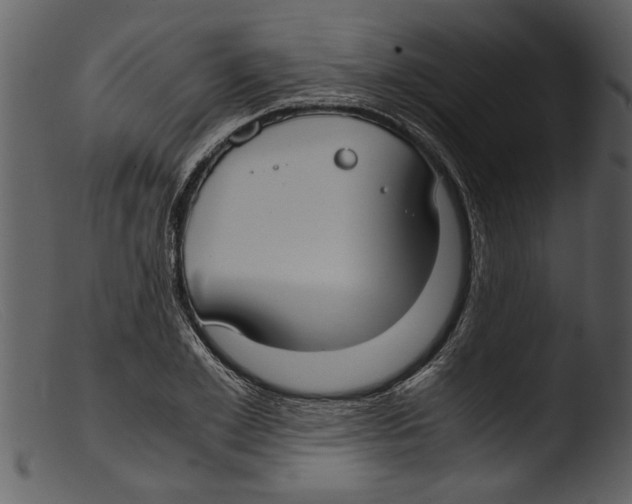 X0000103310981200809261332