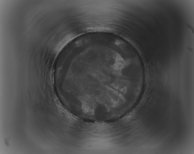 X0000103310983200809261332