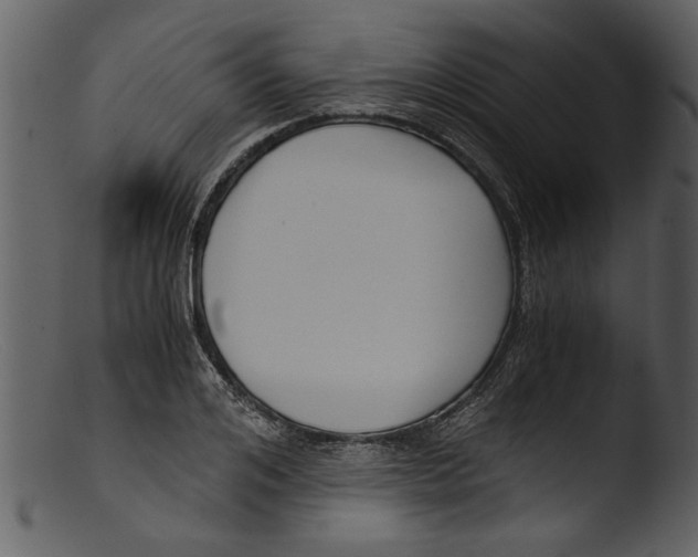 X0000103310984200809261332