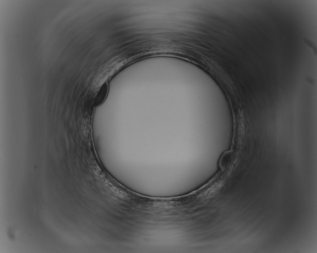 X0000103310985200809261332