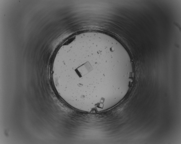X0000103310987200809261332