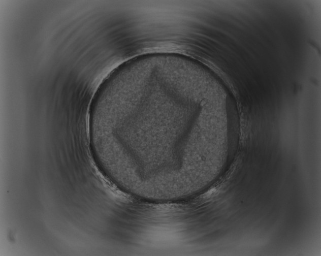 X0000103310988200809261332