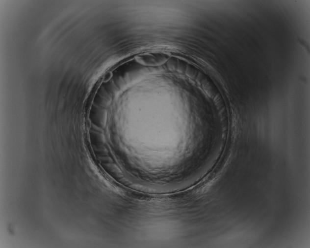 X0000103310989200809261332