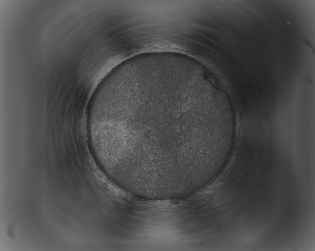 X0000103310990200809261332