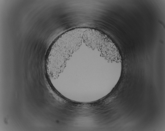 X0000103310991200809261332