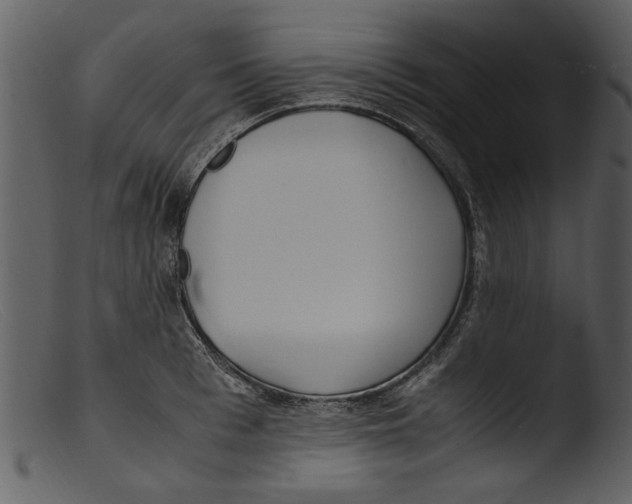 X0000103310993200809261332