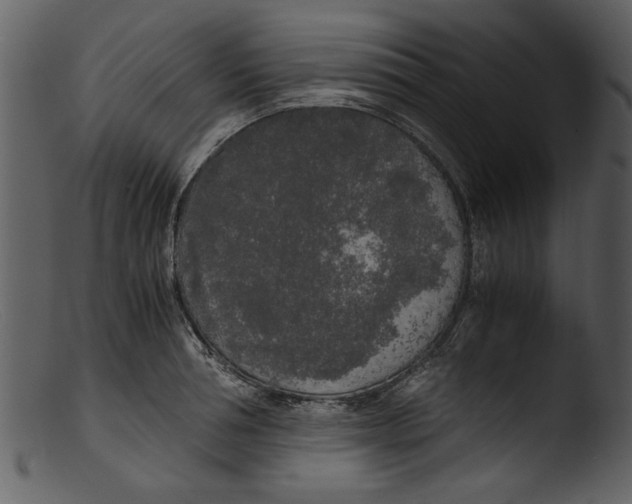 X0000103310994200809261332