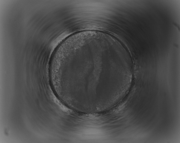 X0000103310995200809261332