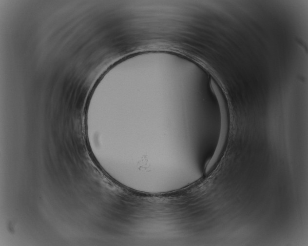 X0000103310996200809261332