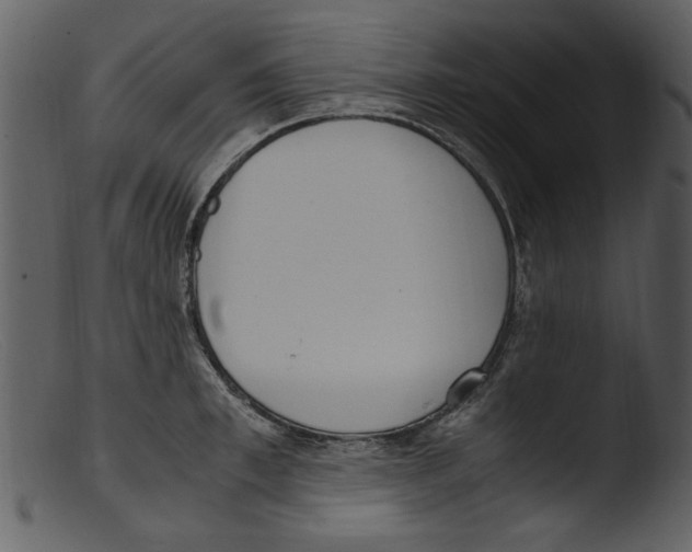 X0000103310997200809261332