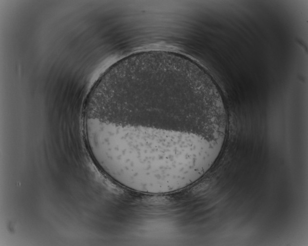 X0000103310998200809261332