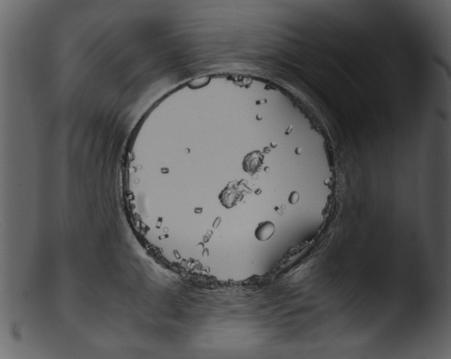 X0000103310999200809261332