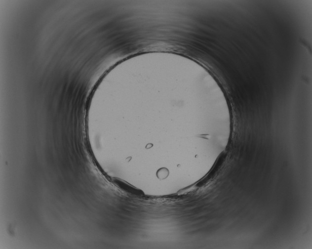 X0000103311000200809261332