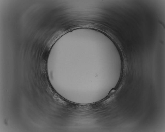 X0000103311001200809261332