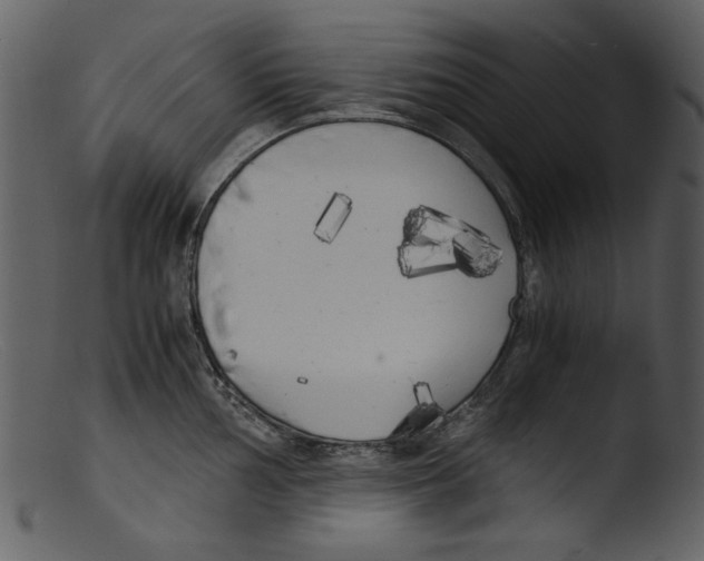 X0000103311002200809261332