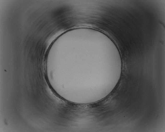 X0000103311003200809261332