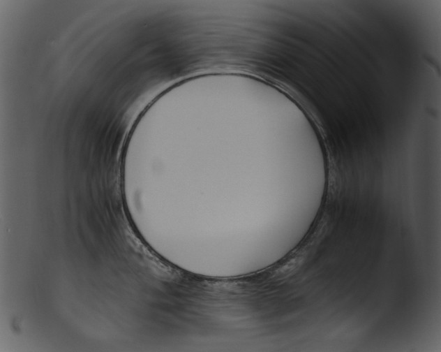 X0000103311004200809261332