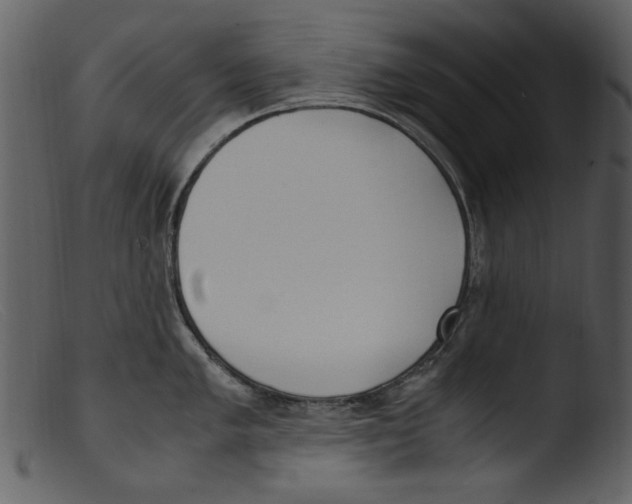 X0000103311005200809261332