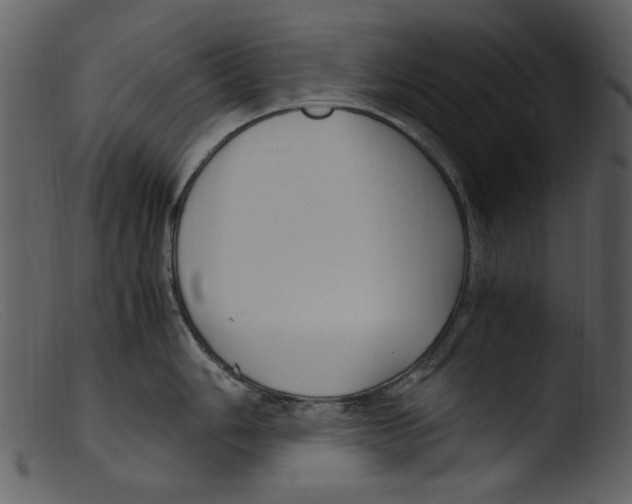 X0000103311006200809261332