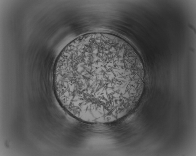 X0000103311007200809261332