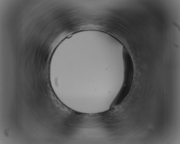 X0000103311008200809261332